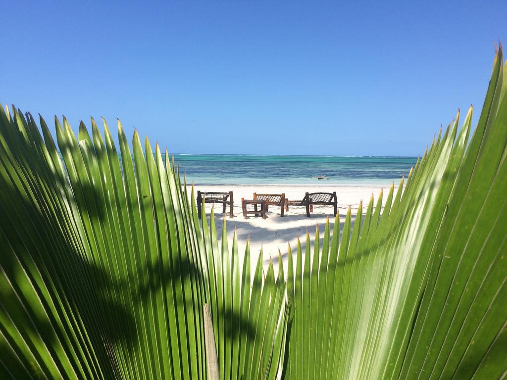 Simba Beach Zanzibar Kiwengwa  Extérieur photo